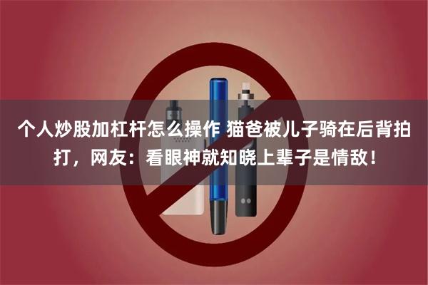 个人炒股加杠杆怎么操作 猫爸被儿子骑在后背拍打，网友：看眼神就知晓上辈子是情敌！