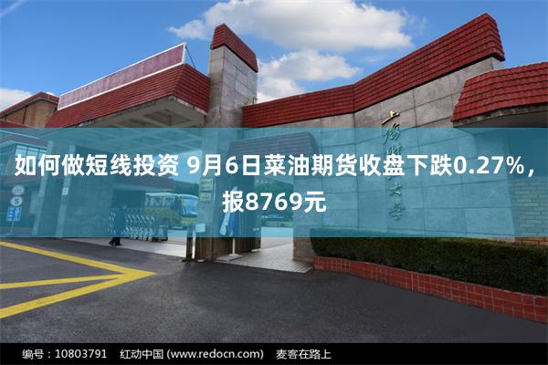 如何做短线投资 9月6日菜油期货收盘下跌0.27%，报8769元