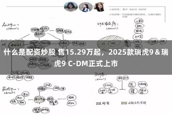 什么是配资炒股 售15.29万起，2025款瑞虎9＆瑞虎9 C-DM正式上市