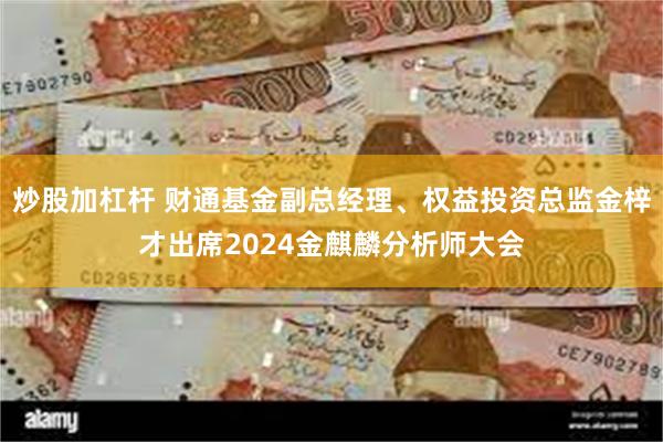 炒股加杠杆 财通基金副总经理、权益投资总监金梓才出席2024金麒麟分析师大会