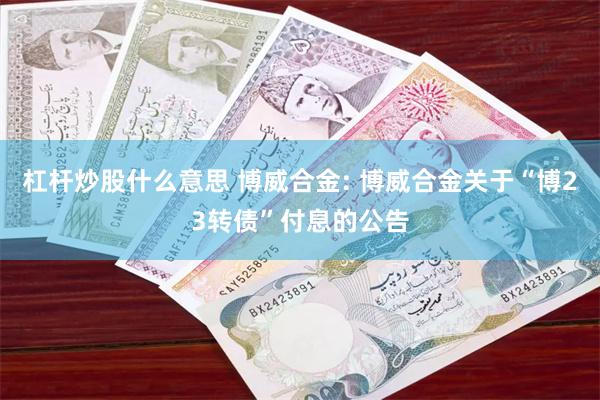 杠杆炒股什么意思 博威合金: 博威合金关于“博23转债”付息的公告