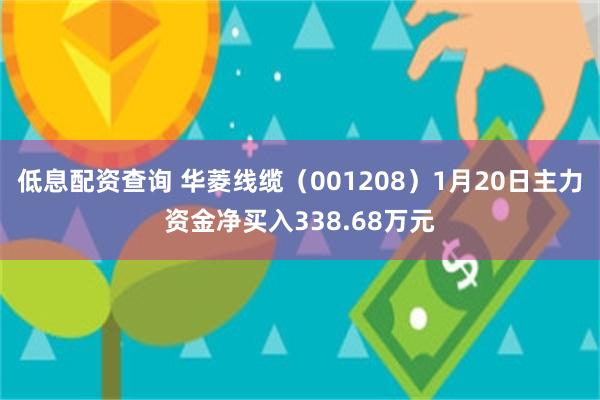 低息配资查询 华菱线缆（001208）1月20日主力资金净买入338.68万元