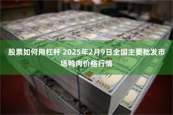 股票如何用杠杆 2025年2月9日全国主要批发市场鸭肉价格行情