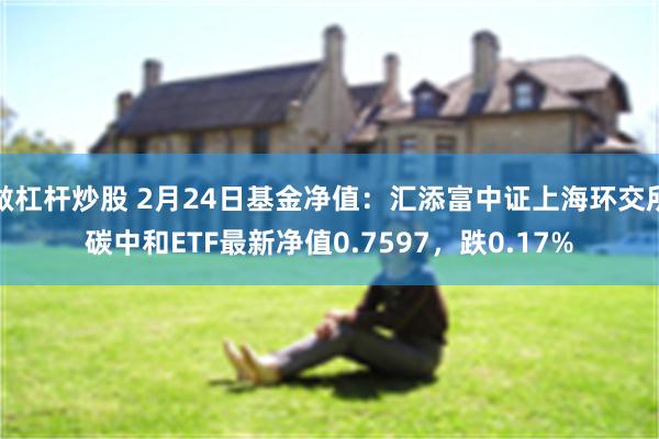 做杠杆炒股 2月24日基金净值：汇添富中证上海环交所碳中和ETF最新净值0.7597，跌0.17%