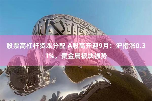 股票高杠杆资本分配 A股高开迎9月：沪指涨0.31%，贵金属板块强势